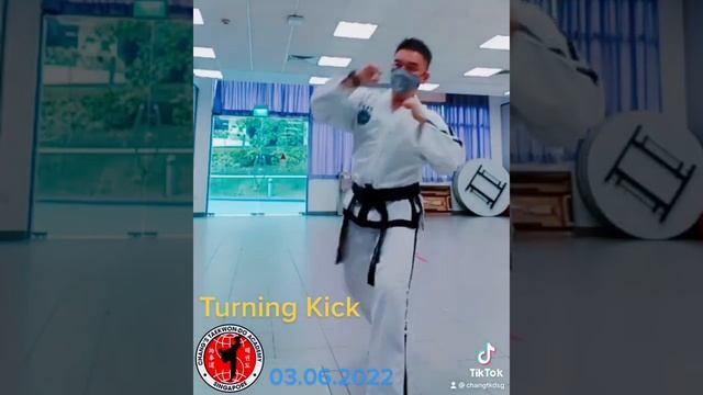 Turning Kick | 03 June 2022 Friday [#375]