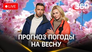 Прогноз погоды на выходные. Стрим. Засобина. Шубенков