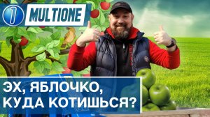 Думпер из нержавеющей стали для MultiOne - обзор навесного оборудования