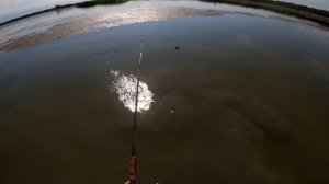 Змееголов, лучшая рыбалка сезона