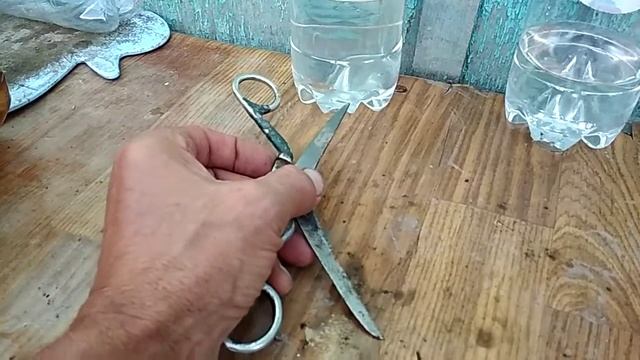 Мой капельный полив с помощью пластиковой бутылки. смотреть онлайн