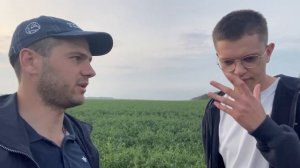 Пока все в поле #3 КФХ Пята - «мозговой горошек»