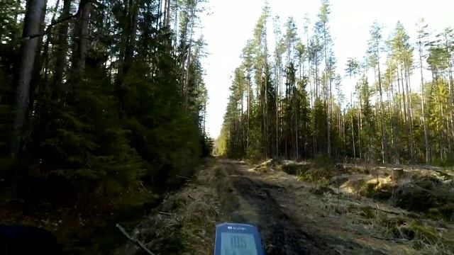 Катаюсь на фэтбайке вдоль реки Оредеж смотреть онлайн