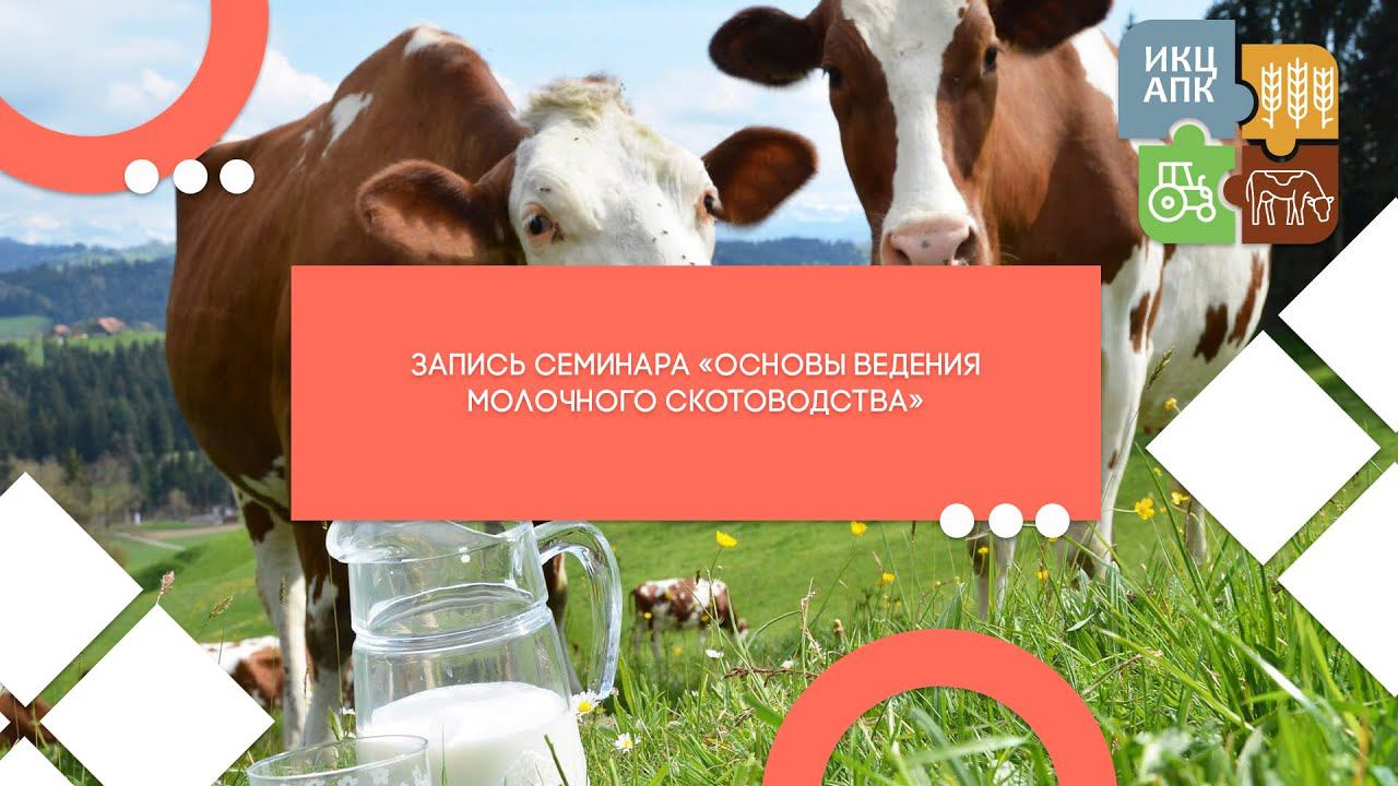 Запись вебинара от 7 сентября 2021 года