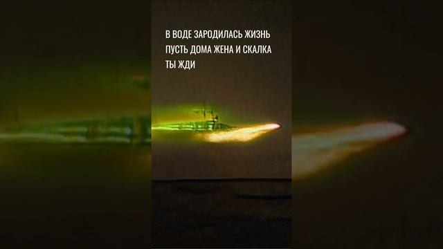 «В ВОДЕ ЗАРОДИЛАСЬ ЖИЗНЬ» — к истокам | дикая поэзия