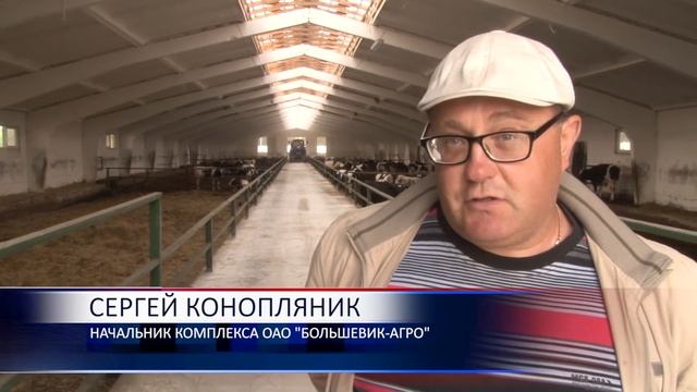 Из старого свиноводческого комплекса - цеха по откорму бычков смотреть онлайн