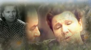 РОМАШКИ СПРЯТАЛИСЬ