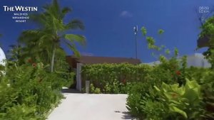 Отель The Westin Maldives Miriandhoo Resort 5* - Мальдивы, Баа Атолл