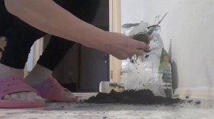 климатис  будет украшать на даче сразу первый год