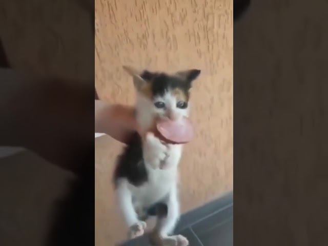 попробуй отбери☝ смотреть онлайн