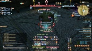 Final Fantasy 14 гид по подземельям часть 15, The Wanderer's Palace