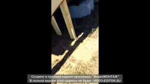 поездка в Усть Цильму