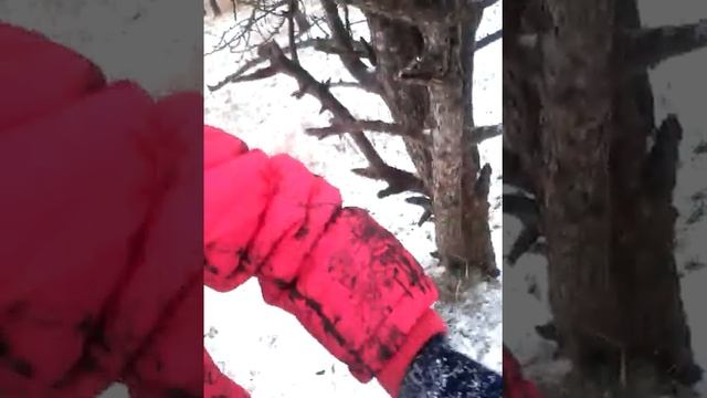 Сказка много снега смотреть онлайн