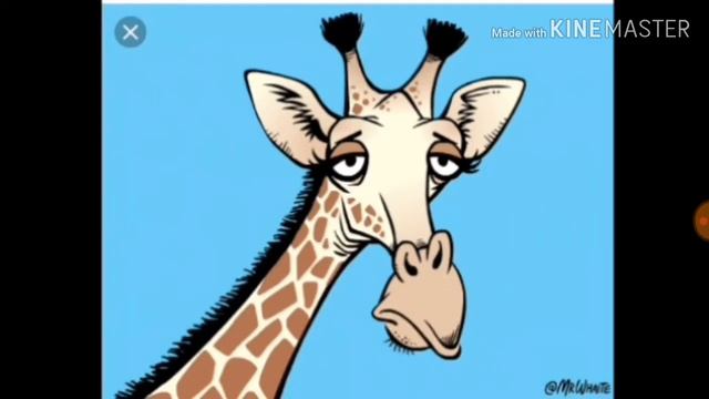 Топ 3 факты о жирафах! смотреть онлайн