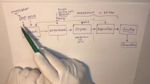 Оконный маркетинг в картинках.