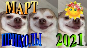 ПРИКОЛЫ 2021 САМЫЕ НОВЫЕ!!!!СМОТРЕТЬ ПРИКОЛЫ 2021!!!#8.mp4