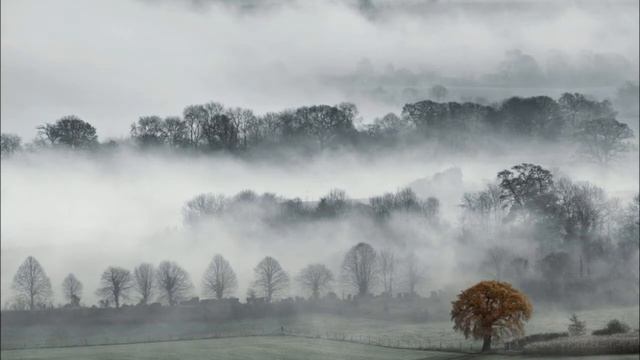 07 Жанна Бичевская - Туман смотреть онлайн