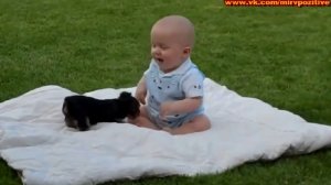 Маленький ребёнок и щеночек,Позитив