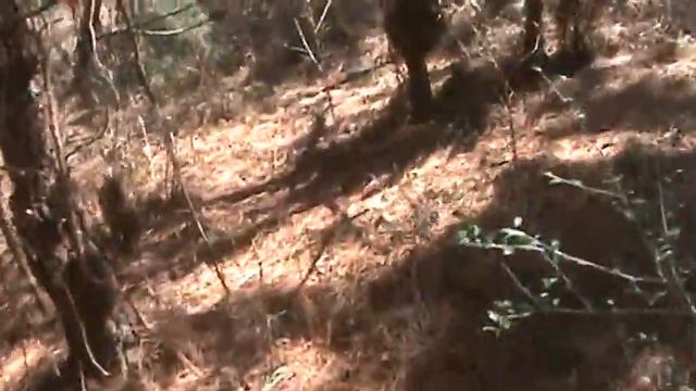 Morgellons and Magnets смотреть онлайн