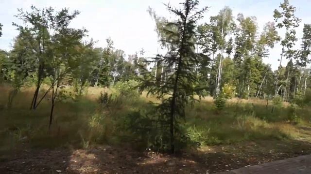 Томилинский парк Сказок,мое путешествие.7.08.18 смотреть онлайн