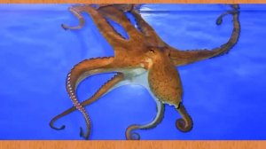 Карточки Домана Часть 6 Мир води!