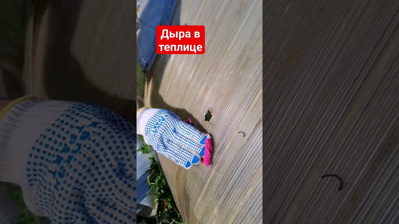 Как заделать дыру в теплице из поликарбоната #дача #огород смотреть онлайн