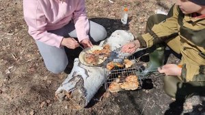 За березовым соком.  Когда собирать березовый сок