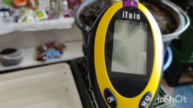 Подкормка и поливы цитрусовых, лайм, лимонов смотреть онлайн