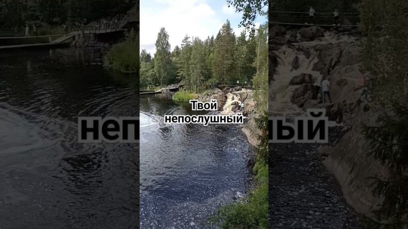 Мудрые слова, запомни #мудрость #мысли #подпишись