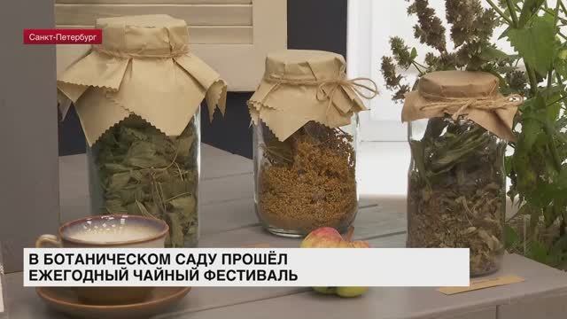 В Ботаническом саду прошел ежегодный чайный фестиваль