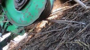 ДОН-1500Б, ПАЛЕССЕ-GS12. Продолжаем убирать подсолнечник.