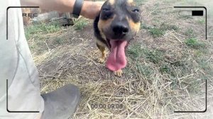 ? Без Иришки. \\  Лакомство для коз, или сепарация молока в домашних условиях.