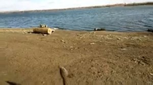 Обьгэс Рыбные места.Ловится налим.