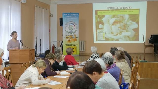 Вредители и болезни роз. Все необходимые обработки от вредителей и болезней, подкормки роз.