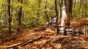 Чебоксары, Берендеевский лес 2018