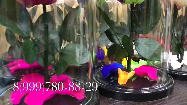 Роза в колбе Оптом и в Розницу