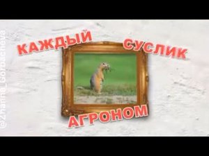 "СОВЕТНИК" СМЕЕТСЯ НАД КОНСТИТУЦИЕЙ  МО Северное Тушино...