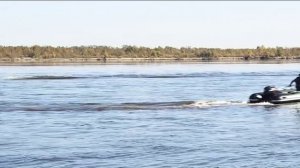 Лодка Sun Marine серии Double Tube SH-420 (green/black)