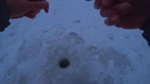 БЕЗМОТЫЛКА РУЛИТ ВСЕГДА! Она снова сделала рыбалку! Ловля окуня и плотвы со льда! Зимняя рыбалка
