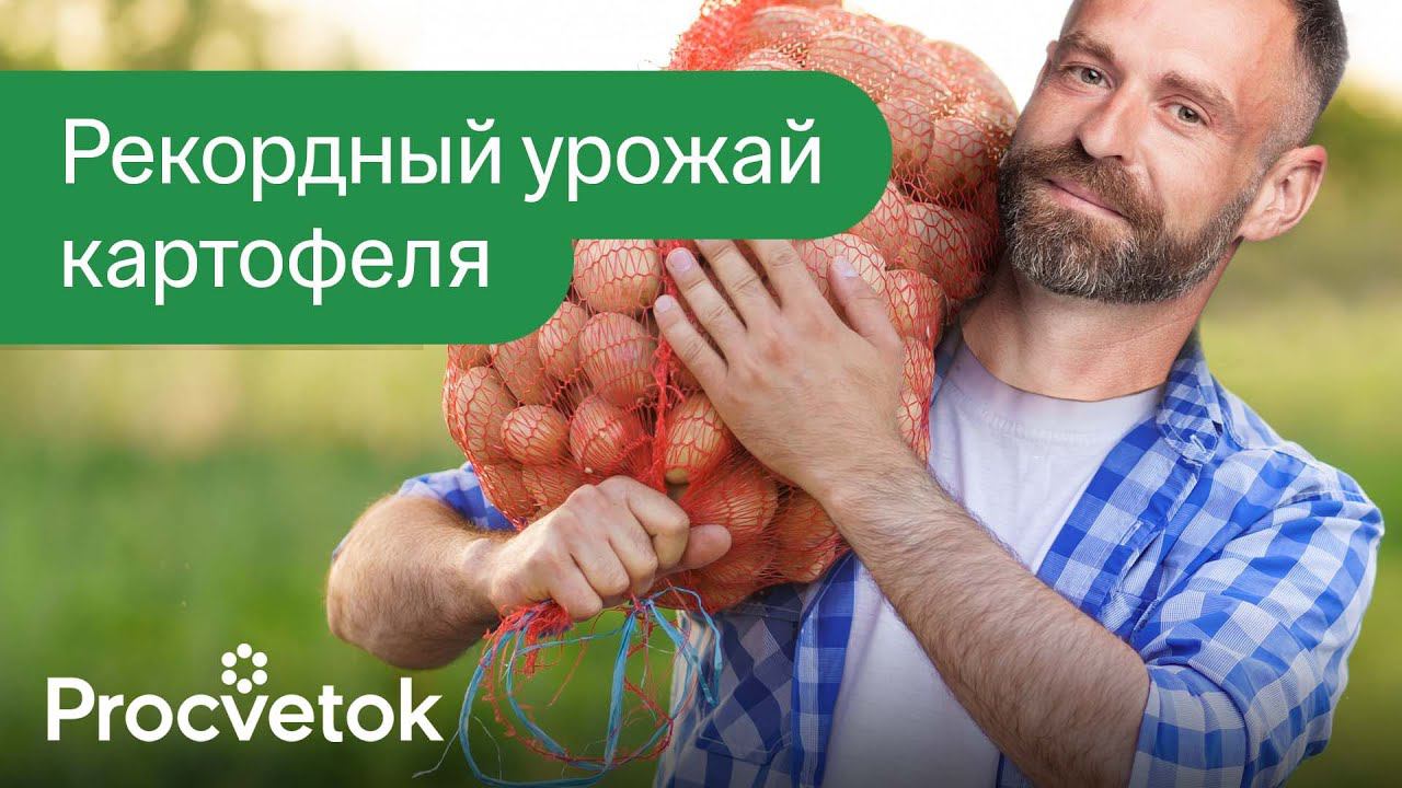 ЖАЛЕЮ, ЧТО РАНЬШЕ ТАК НЕ САЖАЛ КАРТОФЕЛЬ! 3 новых способа посадки для огромного и раннего урожая