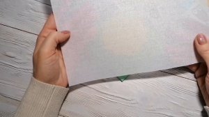 Про дублерин