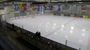 Дети играют в хоккей