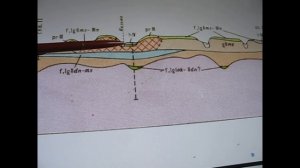 Где золото? Московская область.