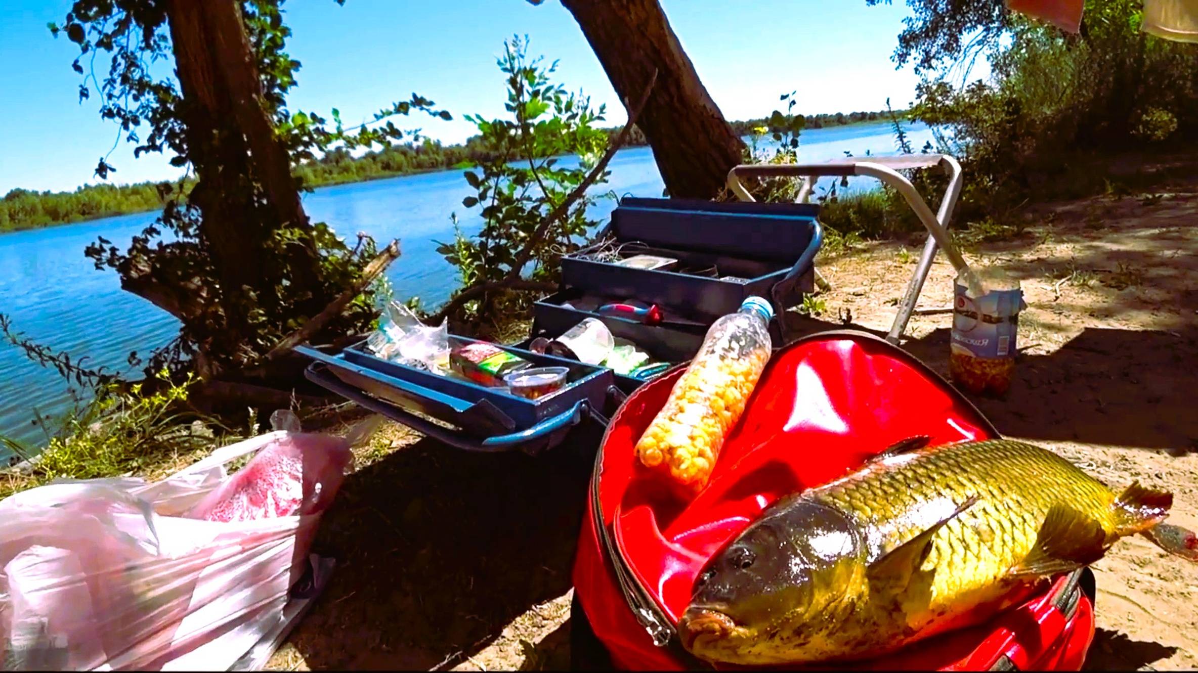 ОТДЫХ НА ДОНУ.Рыбалка на САЗАНА КАРАСЯ 2024 смотреть онлайн