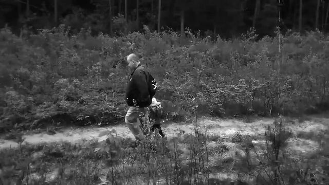 Папа с детьми "заблудились" в лесу, ищут дорогу домой по компасу. Часть 1 смотреть онлайн