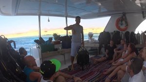 Как говорить под водой. Акула. Красное море. Знаки дайвинг. Инструктаж. 3 часть.