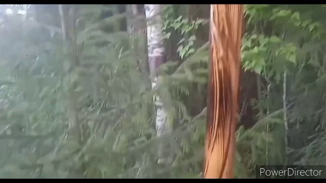 #резьбаподереву #резьбабензопилой #резьба#карвинг_арт #садоваяфигура #своимируками смотреть онлайн