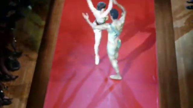 Fernando Montano dancing  ravelvivienne westwood narrative