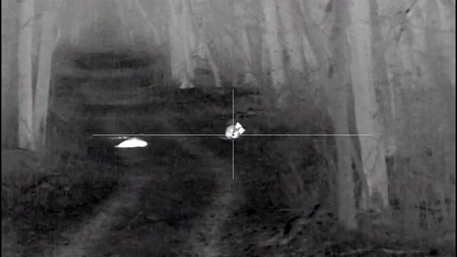 Охота на шакала. Выход - 4 смотреть онлайн