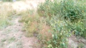Кронштейн ВОМЗ на вепрь 308 полный отстой.